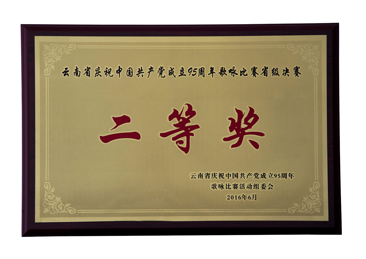 雲南省慶祝中國共産黨成立95周年(nián)歌詠比賽省級決賽二等獎