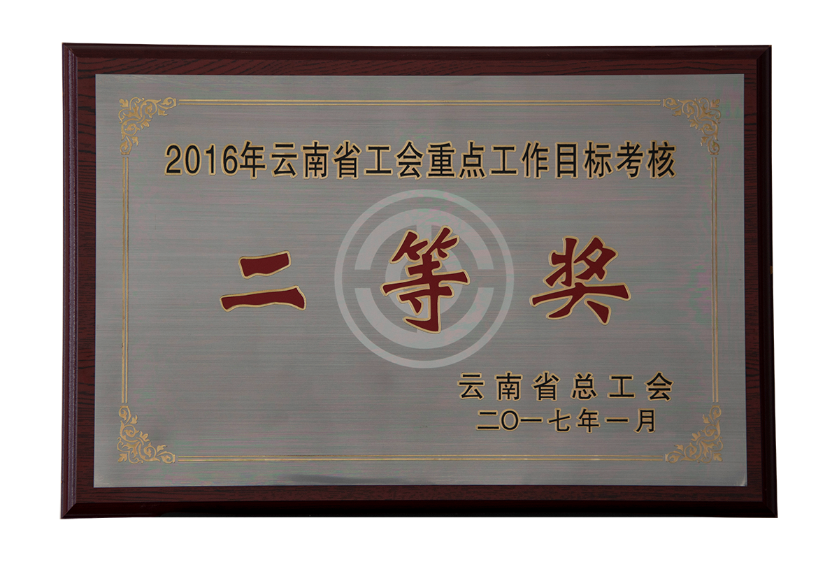 2016年(nián)雲南省工會(huì)重點工作目标考核二等獎