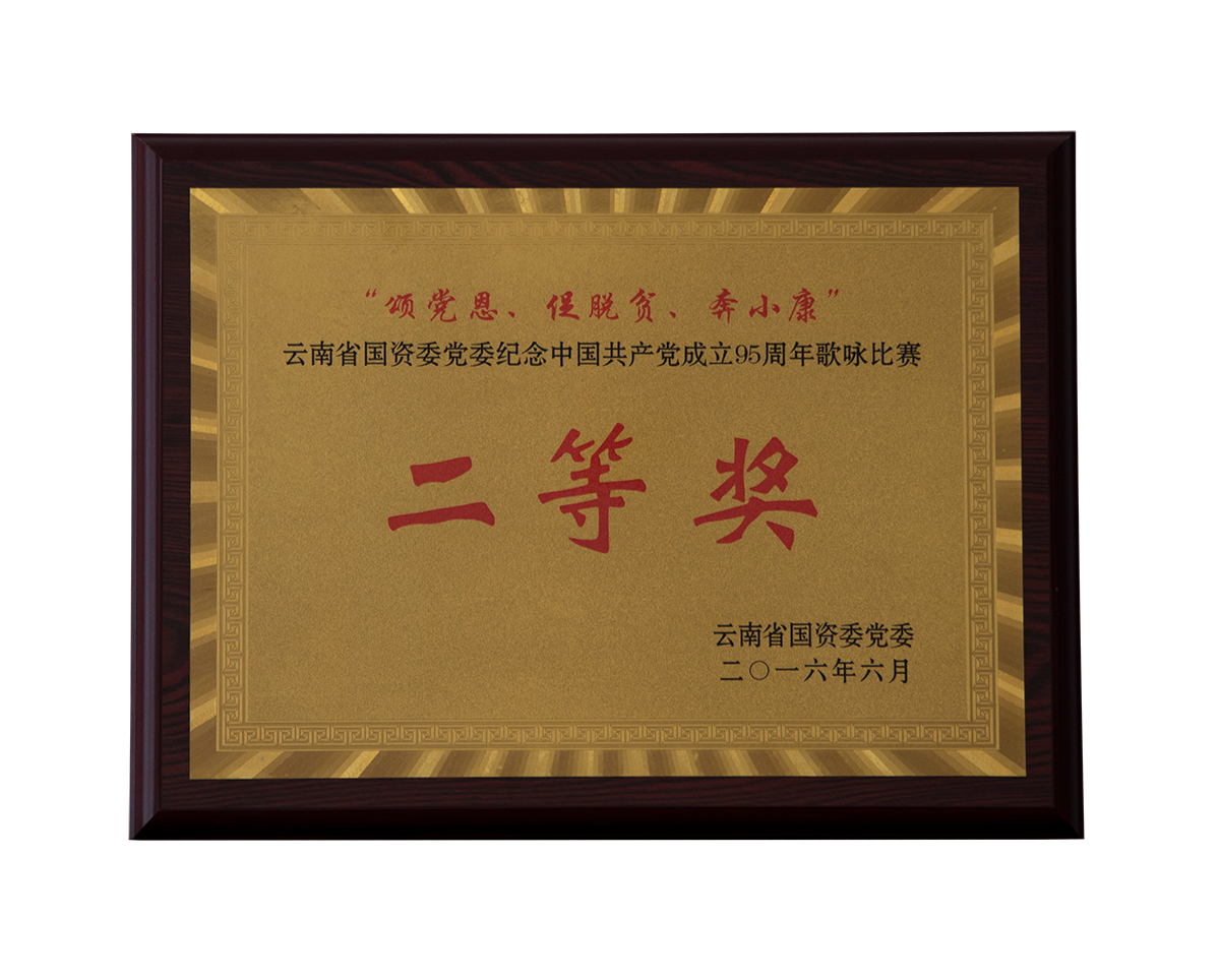 雲南省國資委黨委慶祝中國共産黨成立95周年(nián)歌詠比賽二等獎