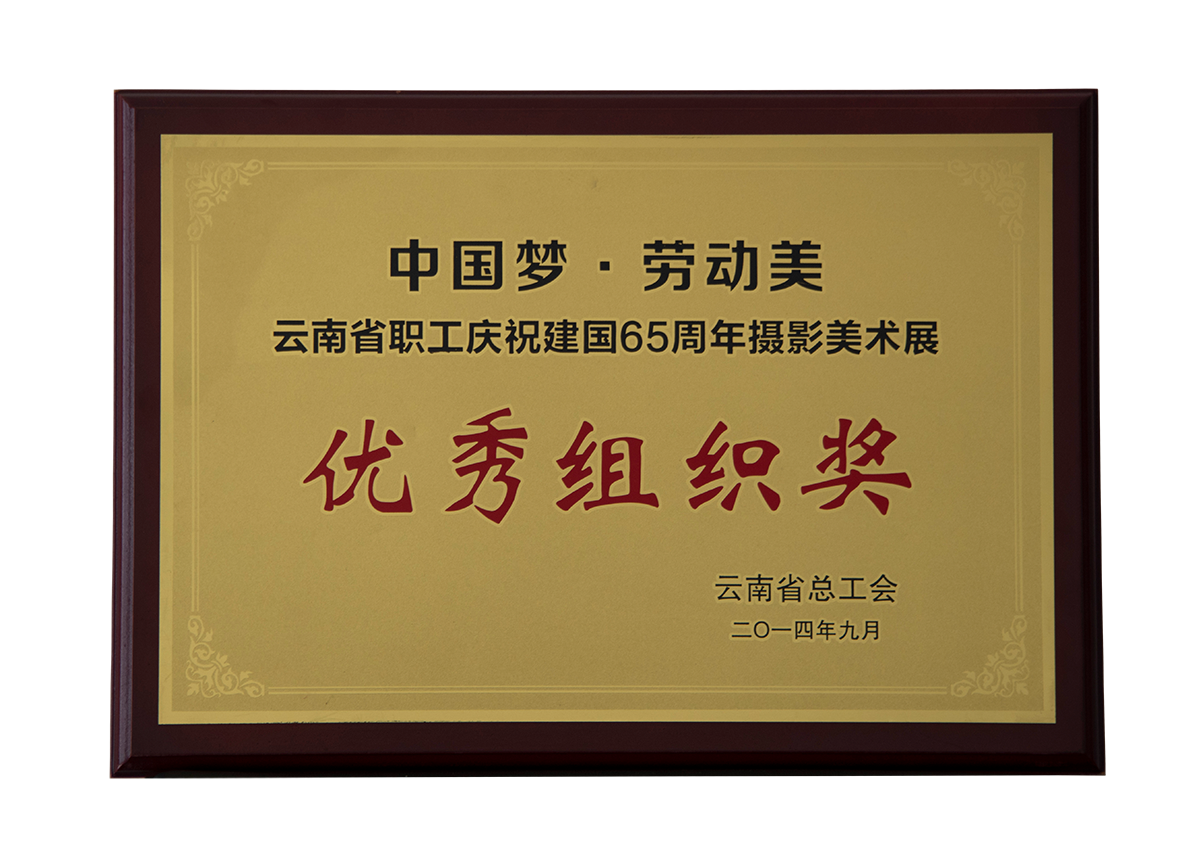 優秀組織獎（建國65周年(nián)攝影美術展）