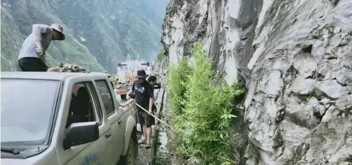 圖片